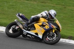 110808cadwell