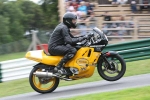 NOVICE GREEN / YELLOW BIKES EVENING