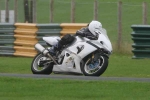 FAST BLUE / WHITE BIKES