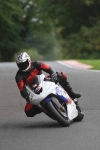260808cadwell