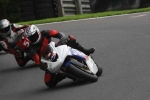 FAST MULTI COLOUR BIKES