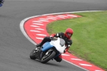 FAST BLUE / WHITE BIKES