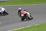 FAST MULTI COLOUR BIKES