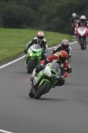 INTER GREEN / YELLOW BIKES