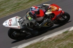 INTER MULTI COLOUR BIKES