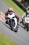 FAST BLUE / WHITE BIKES