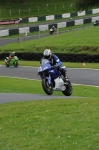 FAST BLUE / WHITE BIKES