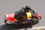 NOVICE MULTICOLOUR BIKES