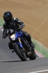 NOVICE BLUE /WHITE BIKES