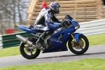 NOVICE BLUE /BLACK BIKES