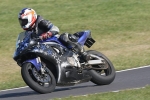 NOVICE BLUE /BLACK BIKES