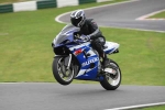 FAST BLUE/WHITE BIKES