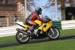 INTER GREEN/YELLOW BIKES
