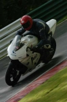 FAST BLUE / WHITE BIKES