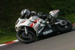 FAST MULTI COLOUR BIKES