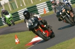 NOVICE MULTI COLOUR BIKES