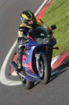 NOVICE MULTI COLOUR BIKES