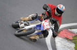 271008cadwell