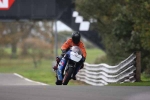NOVICE BLUE/WHITE BIKES