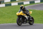 FAST GREEN/YELLOW  BIKES