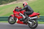 INTER RED/ORANGE BIKES