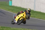 FAST GREEN/YELLOW  BIKES