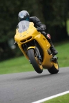 FAST GREEN/YELLOW  BIKES