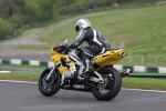INTER GREEN/YELLOW BIKES