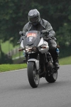 INTER BLACK/SILVER BIKES