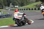 NOVICE MULTICOLOUR BIKES