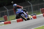 NOVICE BLUE/WHITE BIKES