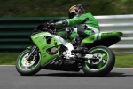 NOVICE GREEN/YELLOW  BIKES