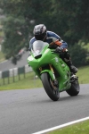 FAST GREEN/YELLOW BIKES