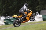FAST GREEN/YELLOW BIKES