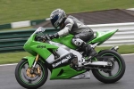 FAST GREEN/YELLOW BIKES