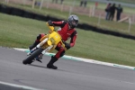 INTER GREEN/YELLOW BIKES