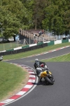 FAST GREEN/YELLOW BIKES