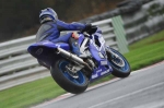 FAST BLUE/WHITE BIKES