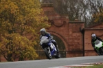 NOVICE BLUE/WHITE BIKES