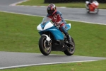FAST BLUE/WHITE BIKES