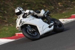 FAST BLUE/WHITE BIKES