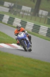 271009cadwell