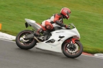 271009cadwell