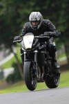 FAST BLACK/SILVER BIKES