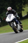 FAST BLUE/WHITE BIKES