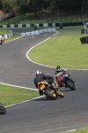 INTER GREEN/YELLOW BIKES