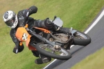 NOVICE RED/ORANGE BIKES