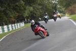 FAST RED/ORANGE BIKES