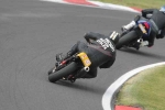 INTER GREEN/YELLOW BIKES