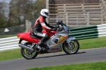 270410cadwell